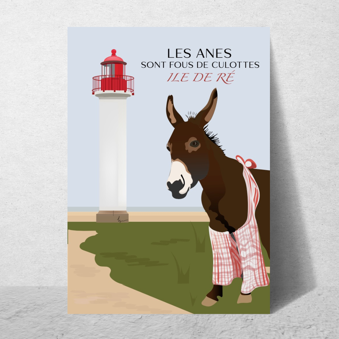 Les ânes sont fous de culottes - Ile de Ré